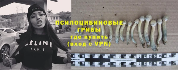 крисы Касимов