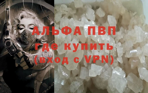 крисы Касимов