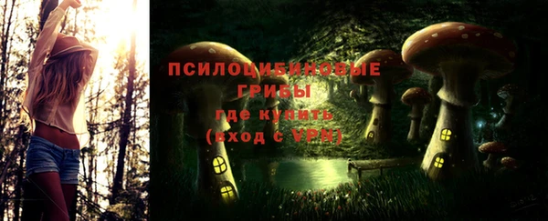 гидра Карпинск