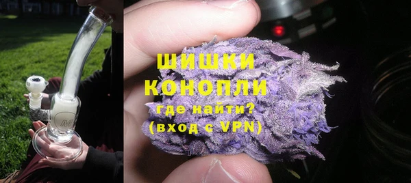 крисы Касимов