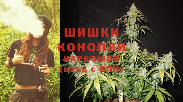 гидра Карпинск