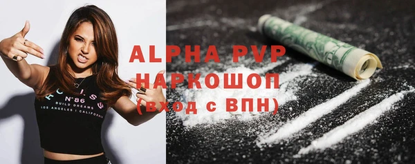 гидра Карпинск
