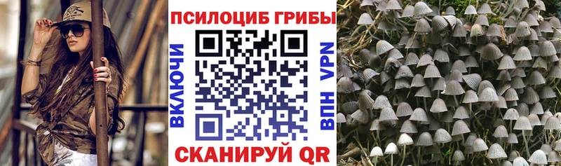 блэк спрут ONION  Тогучин  нарко площадка какой сайт  Псилоцибиновые грибы GOLDEN TEACHER 